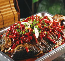 趣多客烤魚產品 創新美味與創業機遇的完美結合